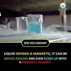 oxygen liquid